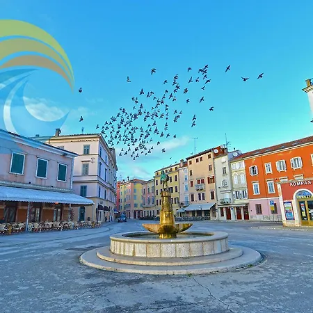 Slavica 562 * Rovinj